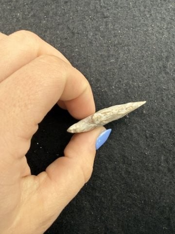 Arrow Point Indian Artifact Arrowhead - 3