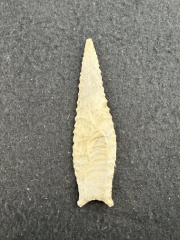 Dalton Indian Artifact Arrowhead - 2