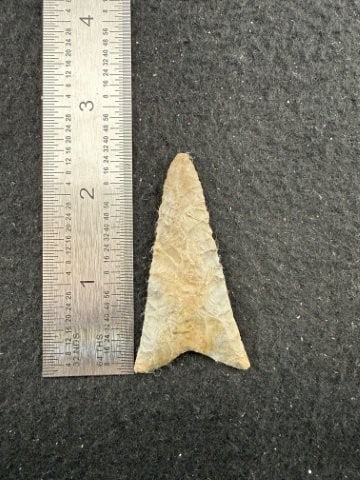 Dalton Indian Artifact Arrowhead: KEY WORDS: INDIAN ARTIFACT ARTIFACTS ARROWHEAD ARROWHEADS NATIVE AMERICAN MISSISSIPPIAN QUAPAW CADDO POTTERY COINS MORGAN DOLLAR PEACE DOLLAR SILVER COINS. All coins have been Sigma tested for authent