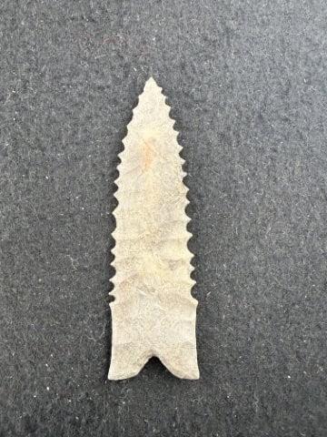 Dalton Indian Artifact Arrowhead - 2