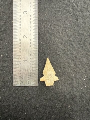 Texas Arrow Point Indian Artifact Arrowhead: KEY WORDS: INDIAN ARTIFACT ARTIFACTS ARROWHEAD ARROWHEADS NATIVE AMERICAN MISSISSIPPIAN QUAPAW CADDO POTTERY COINS MORGAN DOLLAR PEACE DOLLAR SILVER COINS. All coins have been Sigma tested for