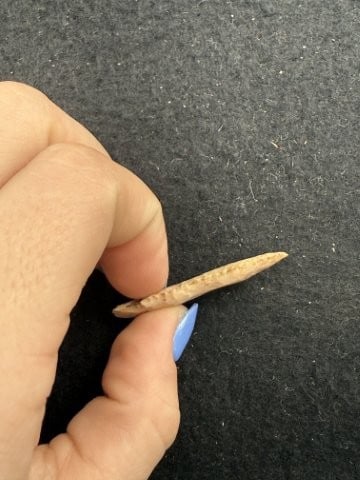 Arrow Point Indian Artifact Arrowhead - 3
