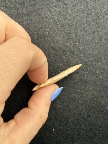 Arrow Point Indian Artifact Arrowhead - 3