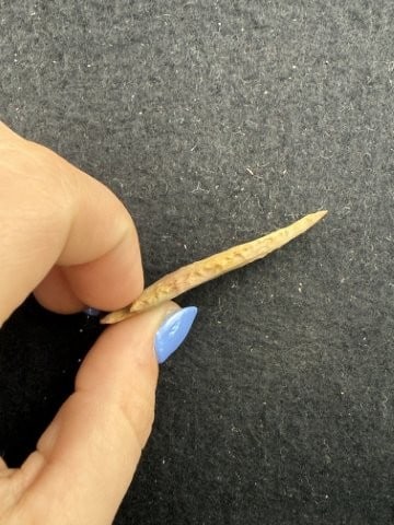 Arrow Point Indian Artifact Arrowhead - 3