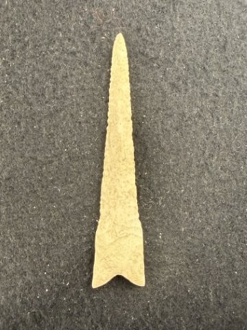 Dalton Indian Artifact Arrowhead - 2