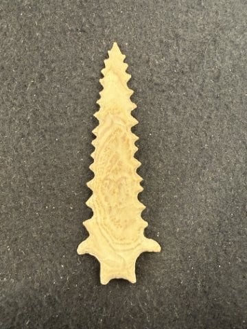 Pine Tree Indian Artifact Arrowhead - 2