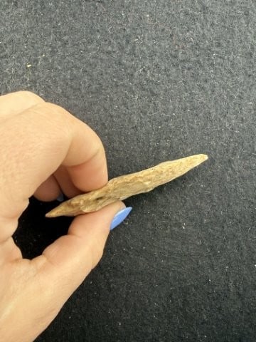 Buzzard Roost Indian Artifact Arrowhead - 3