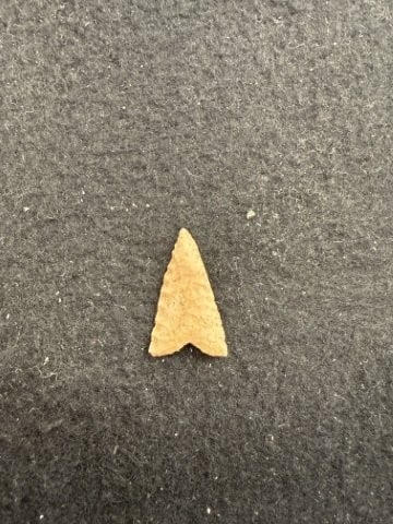 Dalton Indian Artifact Arrowhead - 2