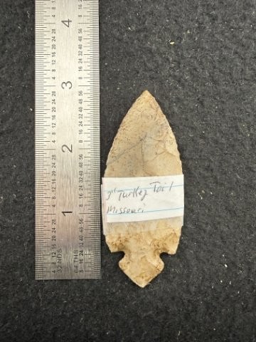 Turkeytail Indian Artifact Arrowhead: KEY WORDS: INDIAN ARTIFACT ARTIFACTS ARROWHEAD ARROWHEADS NATIVE AMERICAN MISSISSIPPIAN QUAPAW CADDO POTTERY COINS MORGAN DOLLAR PEACE DOLLAR SILVER COINS. All coins have been Sigma tested for