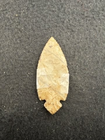 Turkeytail Indian Artifact Arrowhead - 2