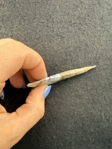 Dalton Indian Artifact Arrowhead - 3
