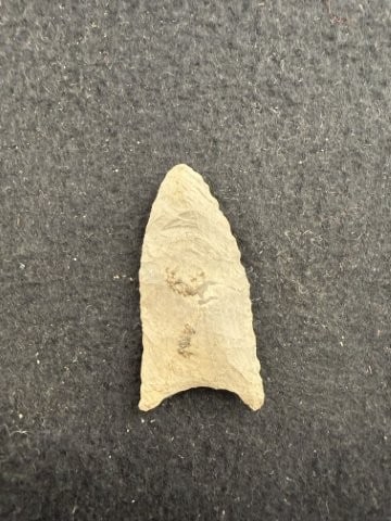 Dalton Indian Artifact Arrowhead - 2