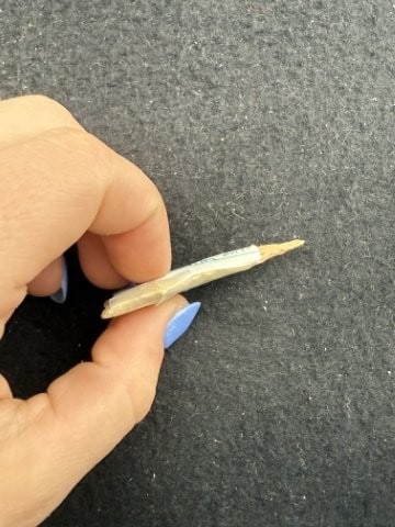 Dalton Indian Artifact Arrowhead - 3