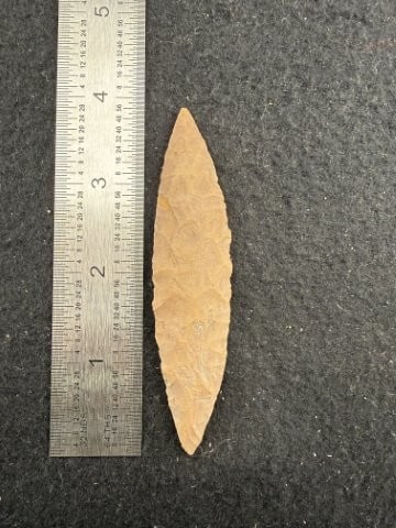Turkeytail Blade Indian Artifact Arrowhead: KEY WORDS: INDIAN ARTIFACT ARTIFACTS ARROWHEAD ARROWHEADS NATIVE AMERICAN MISSISSIPPIAN QUAPAW CADDO POTTERY COINS MORGAN DOLLAR PEACE DOLLAR SILVER COINS. All coins have been Sigma tested for