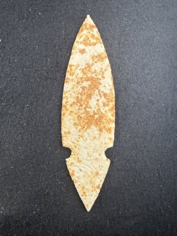 Turkeytail Indian Artifact Arrowhead - 2