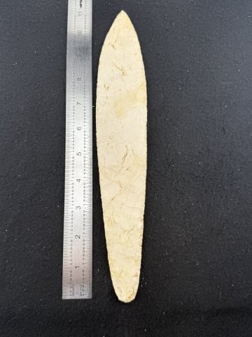 Caddo Blade Indian Artifact Arrowhead: KEY WORDS: INDIAN ARTIFACT ARTIFACTS ARROWHEAD ARROWHEADS NATIVE AMERICAN MISSISSIPPIAN QUAPAW CADDO POTTERY COINS MORGAN DOLLAR PEACE DOLLAR SILVER COINS. All coins have been Sigma tested for authent