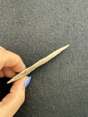 Dalton Indian Artifact Arrowhead - 3