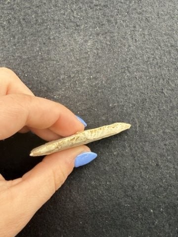 Marshall Indian Artifact Arrowhead - 3