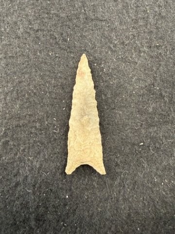 Dalton Indian Artifact Arrowhead - 2