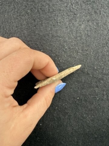 Dalton Indian Artifact Arrowhead - 3