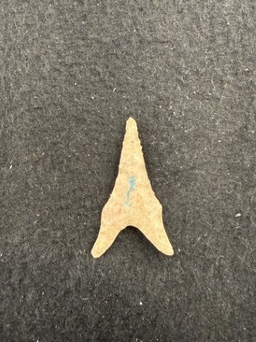 Dalton Indian Artifact Arrowhead - 2