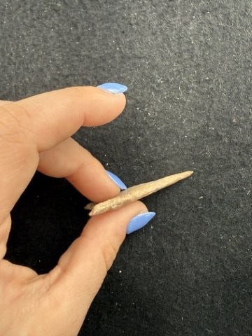Dalton Indian Artifact Arrowhead - 3