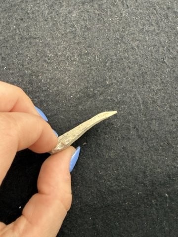 Dovetail Indian Artifact Arrowhead - 3