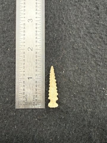 Arrow Point Indian Artifact Arrowhead: KEY WORDS: INDIAN ARTIFACT ARTIFACTS ARROWHEAD ARROWHEADS NATIVE AMERICAN MISSISSIPPIAN QUAPAW CADDO POTTERY COINS MORGAN DOLLAR PEACE DOLLAR SILVER COINS. All coins have been Sigma tested for