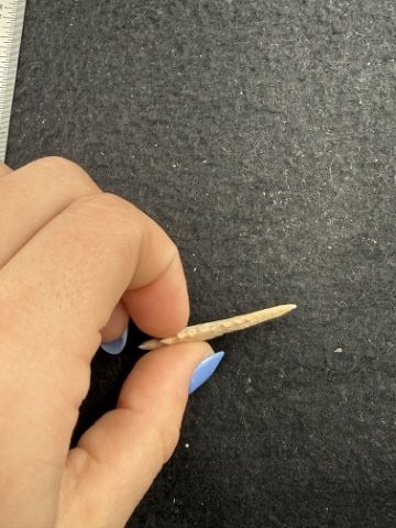 Arrow Point Indian Artifact Arrowhead - 3