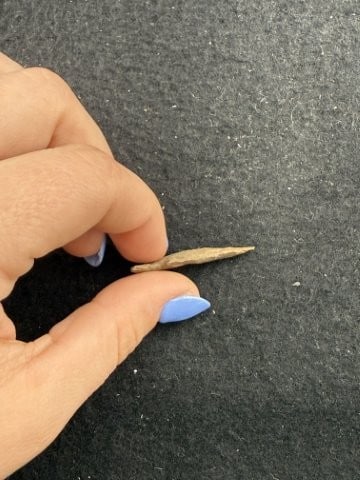 Arrow Point Indian Artifact Arrowhead - 3