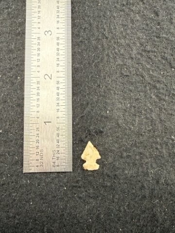 Arrow Point Indian Artifact Arrowhead: KEY WORDS: INDIAN ARTIFACT ARTIFACTS ARROWHEAD ARROWHEADS NATIVE AMERICAN MISSISSIPPIAN QUAPAW CADDO POTTERY COINS MORGAN DOLLAR PEACE DOLLAR SILVER COINS. All coins have been Sigma tested for authent