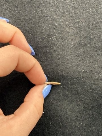 Arrow Point Indian Artifact Arrowhead - 3
