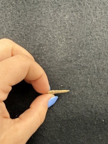 Arrow Point Indian Artifact Arrowhead - 3