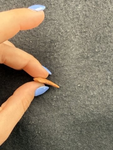 Arrow Point Indian Artifact Arrowhead - 3