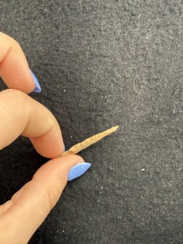 Arrow Point Indian Artifact Arrowhead - 3