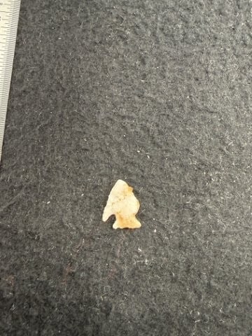 Arrow Point Indian Artifact Arrowhead - 2