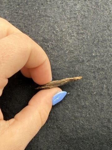 Arrow Point Indian Artifact Arrowhead - 3