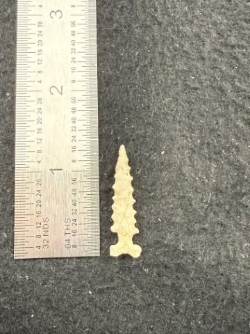 Arrow Point Indian Artifact Arrowhead: KEY WORDS: INDIAN ARTIFACT ARTIFACTS ARROWHEAD ARROWHEADS NATIVE AMERICAN MISSISSIPPIAN QUAPAW CADDO POTTERY COINS MORGAN DOLLAR PEACE DOLLAR SILVER COINS. All coins have been Sigma tested for authent