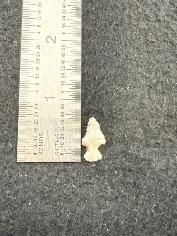 Arrow Point Indian Artifact Arrowhead: KEY WORDS: INDIAN ARTIFACT ARTIFACTS ARROWHEAD ARROWHEADS NATIVE AMERICAN MISSISSIPPIAN QUAPAW CADDO POTTERY COINS MORGAN DOLLAR PEACE DOLLAR SILVER COINS. All coins have been Sigma tested for authent