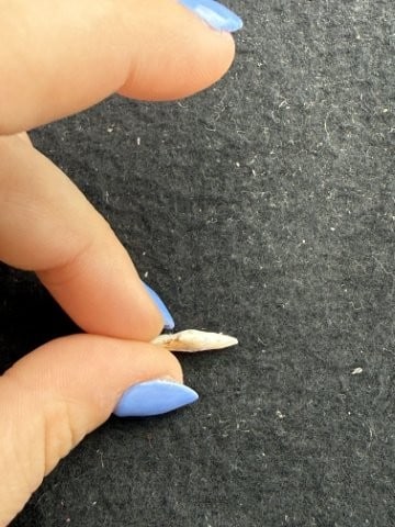 Arrow Point Indian Artifact Arrowhead - 3