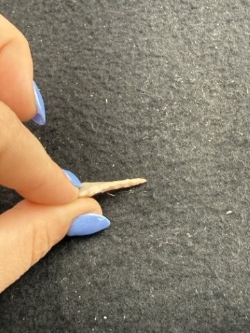 Arrow Point Indian Artifact Arrowhead - 3