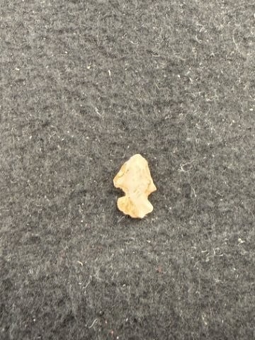 Arrow Point Indian Artifact Arrowhead - 2