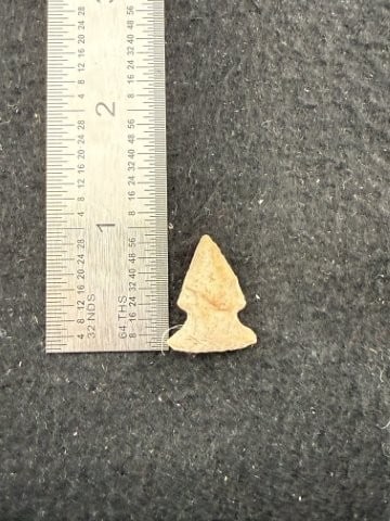 Arrow Point Indian Artifact Arrowhead: KEY WORDS: INDIAN ARTIFACT ARTIFACTS ARROWHEAD ARROWHEADS NATIVE AMERICAN MISSISSIPPIAN QUAPAW CADDO POTTERY COINS MORGAN DOLLAR PEACE DOLLAR SILVER COINS. All coins have been Sigma tested for authent