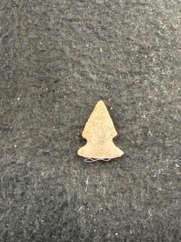 Arrow Point Indian Artifact Arrowhead - 2