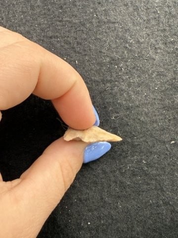 Arrow Point Indian Artifact Arrowhead - 3