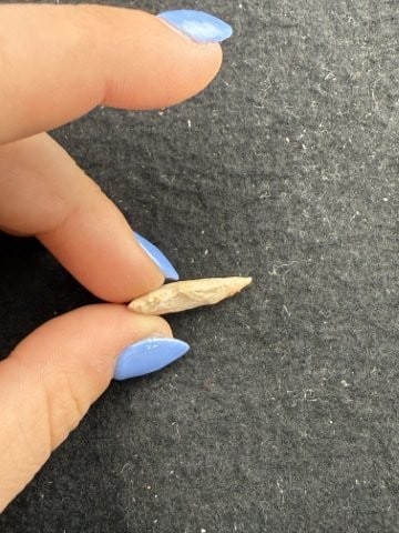 Arrow Point Indian Artifact Arrowhead - 3