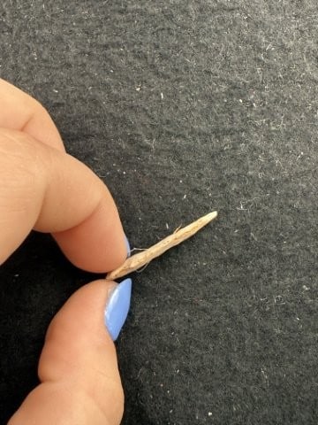 Arrow Point Indian Artifact Arrowhead - 3