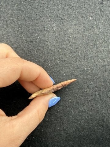Arrow Point Indian Artifact Arrowhead - 3