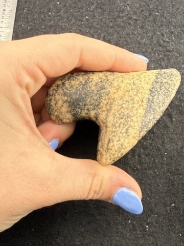 Bust Birdstone Indian Artifact Arrowhead - 5