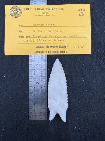 Dalton with Caddo Trading Co. Museum Card: KEY WORDS: INDIAN ARTIFACT ARTIFACTS ARROWHEAD ARROWHEADS NATIVE AMERICAN MISSISSIPPIAN QUAPAW CADDO POTTERY COINS MORGAN DOLLAR PEACE DOLLAR SILVER COINS. All coins have been Sigma tested for authent
